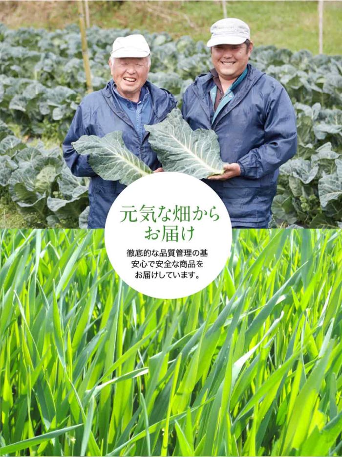 青汁のススメLP