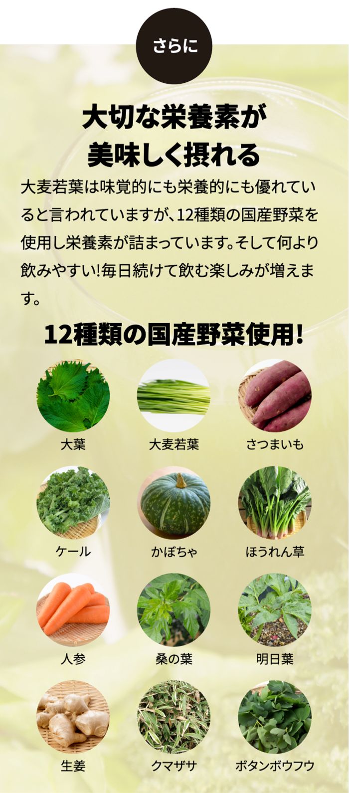 青汁のススメLP