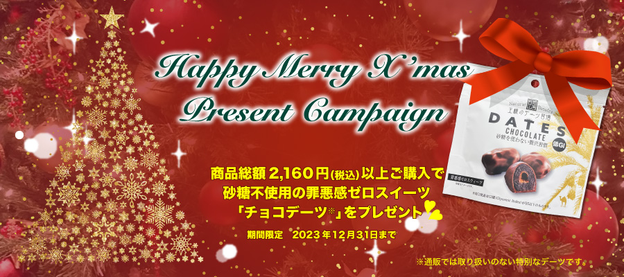 クリスマスプレゼント